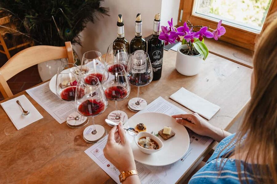 Montalcino: Guided Winery Tour & Gourmet Food Tasting - Inside the cellar: wood, concrete, and amphoras