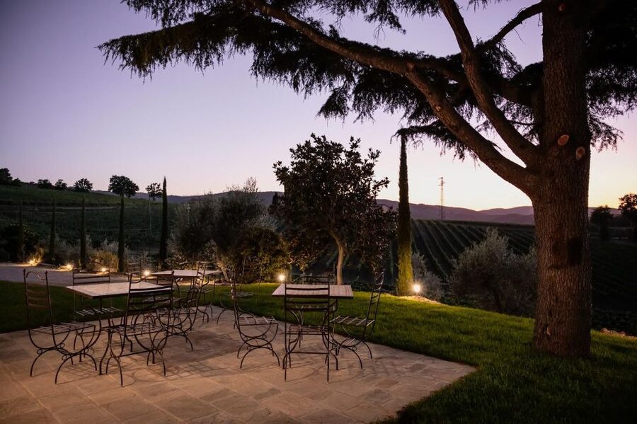 Montalcino: Premium Wine Tasting with light-lunch and Tour - How the pairing affects the experience