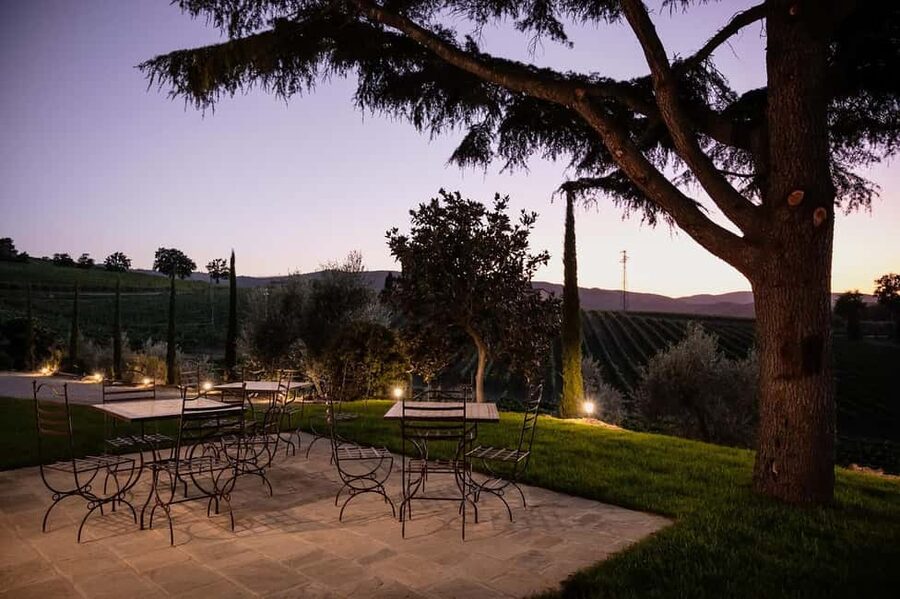 Montalcino: Premium Wine Tasting with light-lunch and Tour - Who will enjoy this visit most