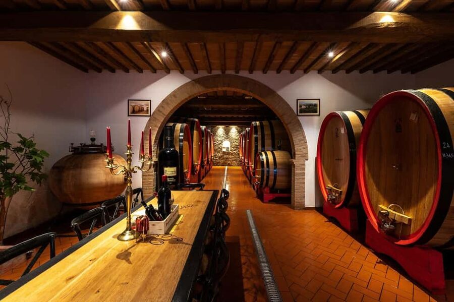 Montalcino: Premium Wine Tasting with light-lunch and Tour - Walking through the vineyards