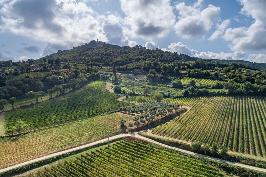 Montalcino: Private Cellar Tour, Wine Tasting & Appetizers - Arriving at Paradiso di Cacuci