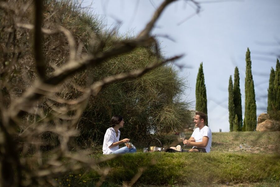 Montalcino: Vineyard Picnic with a Bottle of Wine - A vineyard picnic with Montalcino views