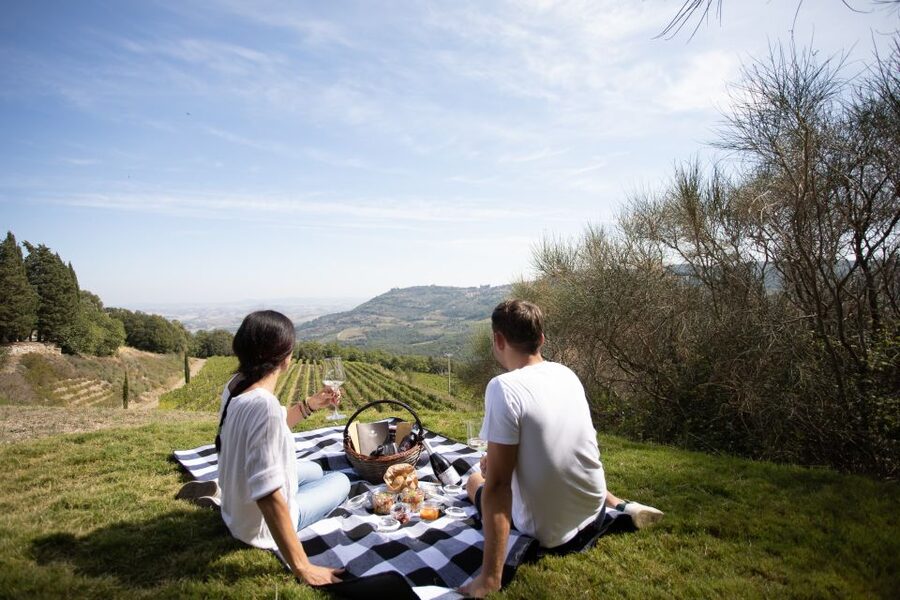 Montalcino: Vineyard Picnic with a Bottle of Wine - What happens at Corte Pavone
