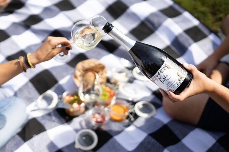 Montalcino: Vineyard Picnic with a Bottle of Wine - Who will enjoy this most