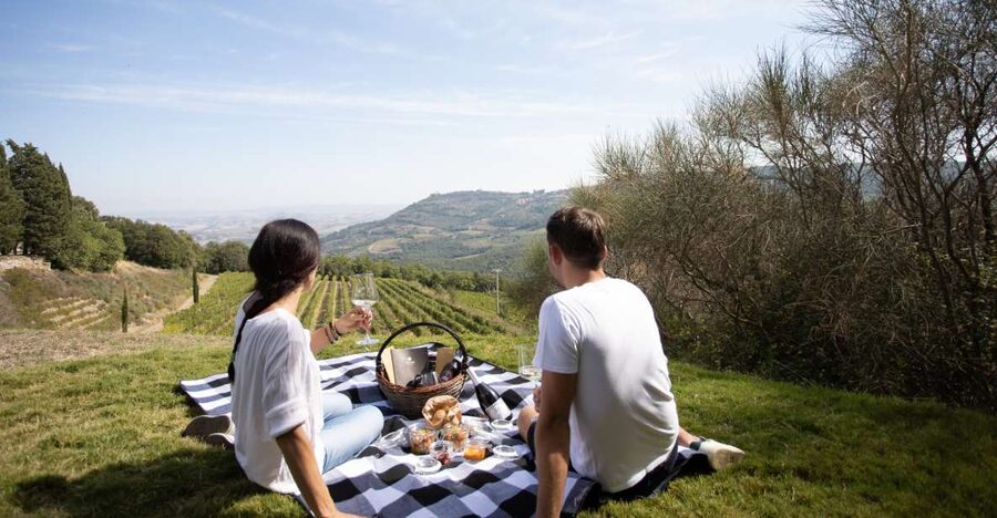 Montalcino: Vineyard Picnic with a Bottle of Wine - What the high rating gets right
