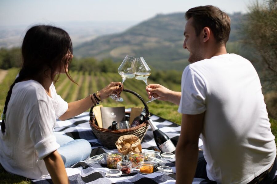 Montalcino: Vineyard Picnic with a Bottle of Wine - Choosing between the picnic and the tour