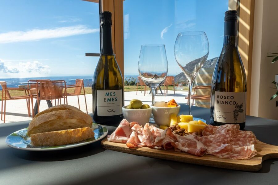 Monte Baldo: Organic Mountain Wines Tour and Tasting - Is the $50 price worth it?