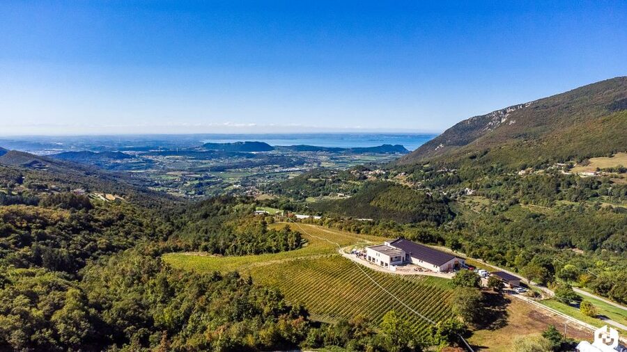 Monte Baldo: Organic Mountain Wines Tour and Tasting - The view is a feature, not a backdrop