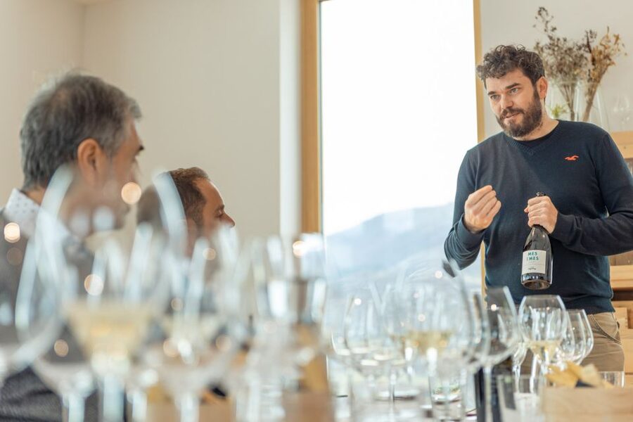 Monte Baldo: Organic Mountain Wines Tour and Tasting - Small groups can make the visit feel personal