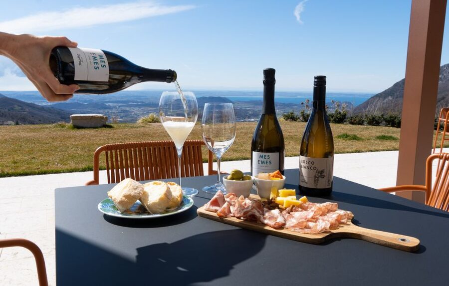 Monte Baldo: Organic Mountain Wines Tour and Tasting - Who will enjoy this Monte Baldo wine tour?