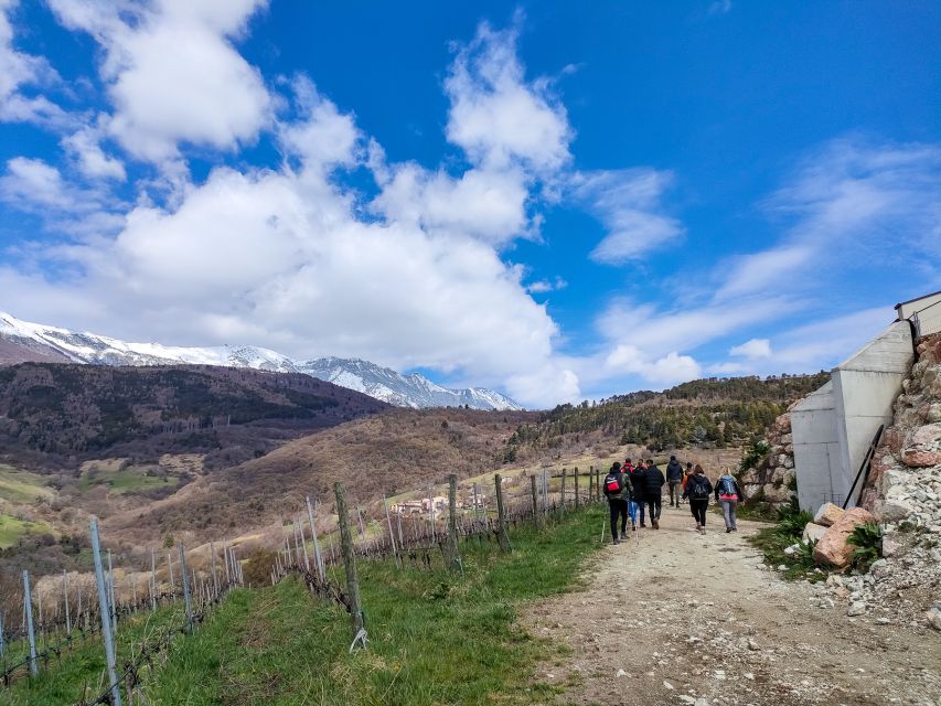 Monte Baldo: Organic Mountain Wines Tour and Tasting - Walking the vines before the first glass