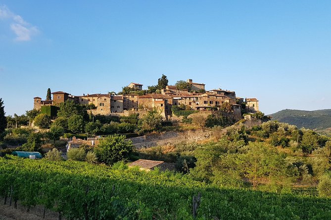 Montefioralle Winery - Tour and Wine Tasting in Chianti - Indoor tasting or an outdoor table with a view