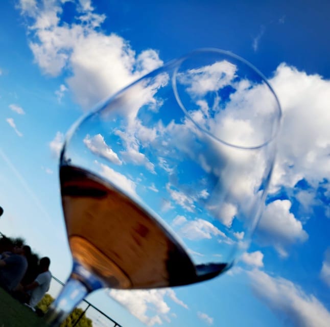 Montepulciano: Artisan Heroic Wine Tasting at the Terrace - Who will enjoy this most?