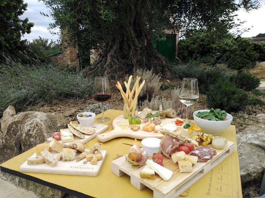 Montepulciano: Tuscan Winery Tour with Wine Tasting & Meal - A four-course meal beside the grape rows