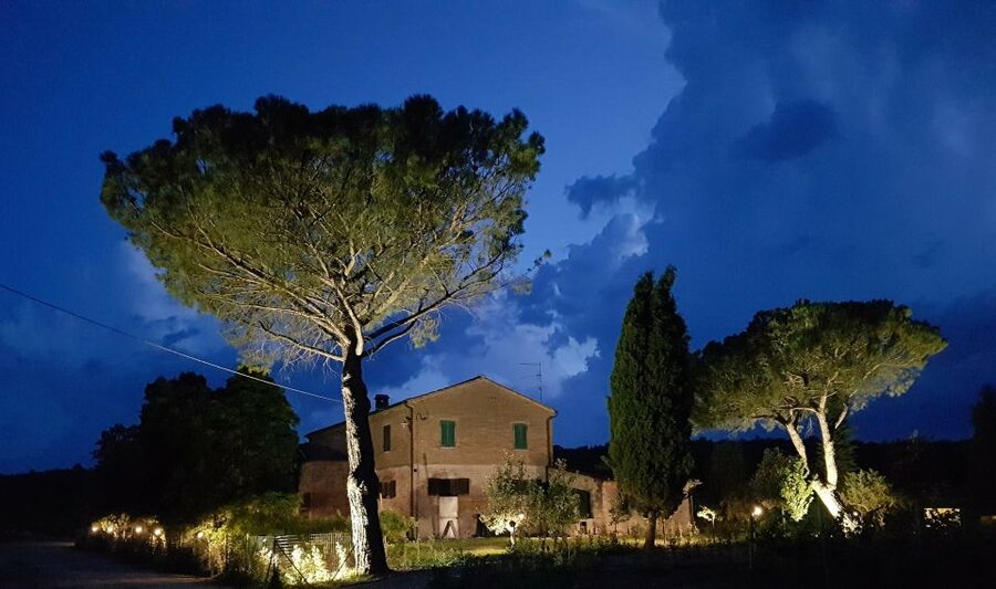 Montepulciano: Tuscan Winery Tour with Wine Tasting & Meal - How the wine pairings work
