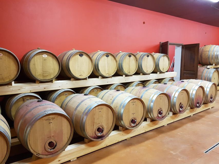 Montepulciano: Tuscan Winery Tour with Wine Tasting & Meal - Inside the cellar: grapes, harvest, and aging