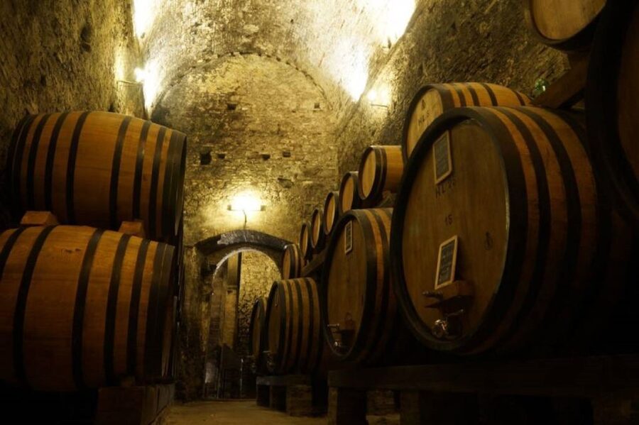Montepulciano: Wine Tasting and Cellar Tour - Key points to know before booking