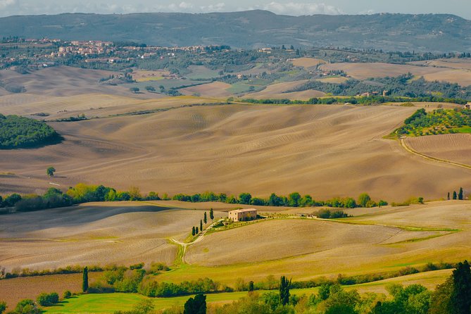 Montepulciano: Wine Tasting & Lunch in a Typical Winery - Key points at a glance