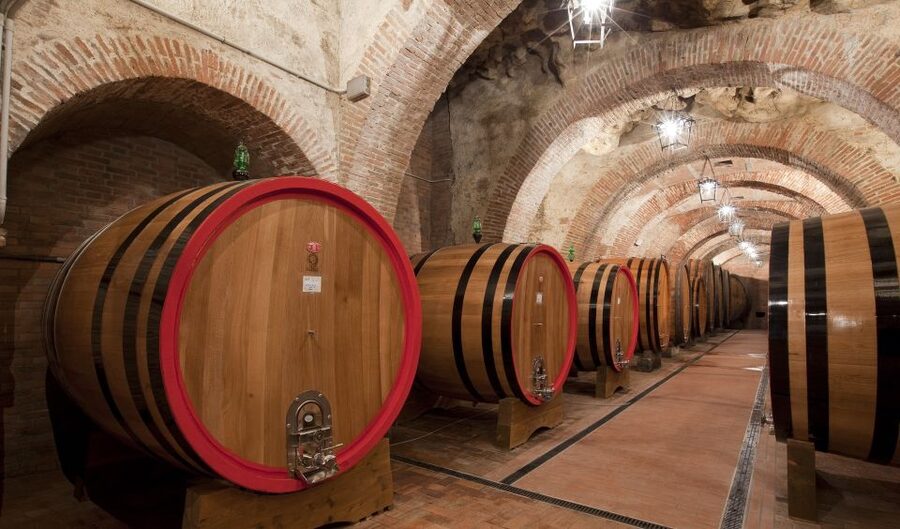 Montepulciano: Winery Tour and Tasting - Bread, cheese, and traditional Tuscan bites