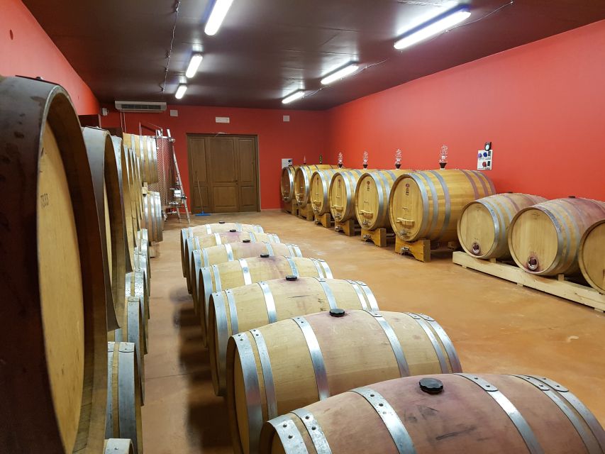 Montepulciano: Winery Tour, Tasting, and Vineyard Picnic - Arriving at Podere Casanova in Montepulciano