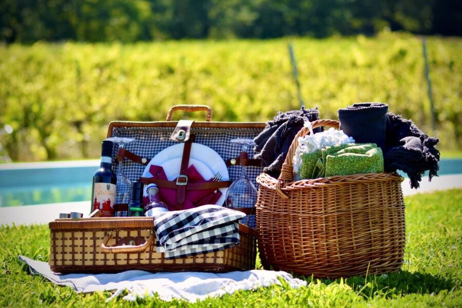 Montepulciano: Winery Tour, Tasting, and Vineyard Picnic - Who will enjoy this Montepulciano outing?