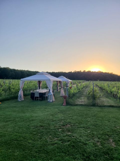 Montepulciano: Winery Tour, Tasting, and Vineyard Picnic - FAQ