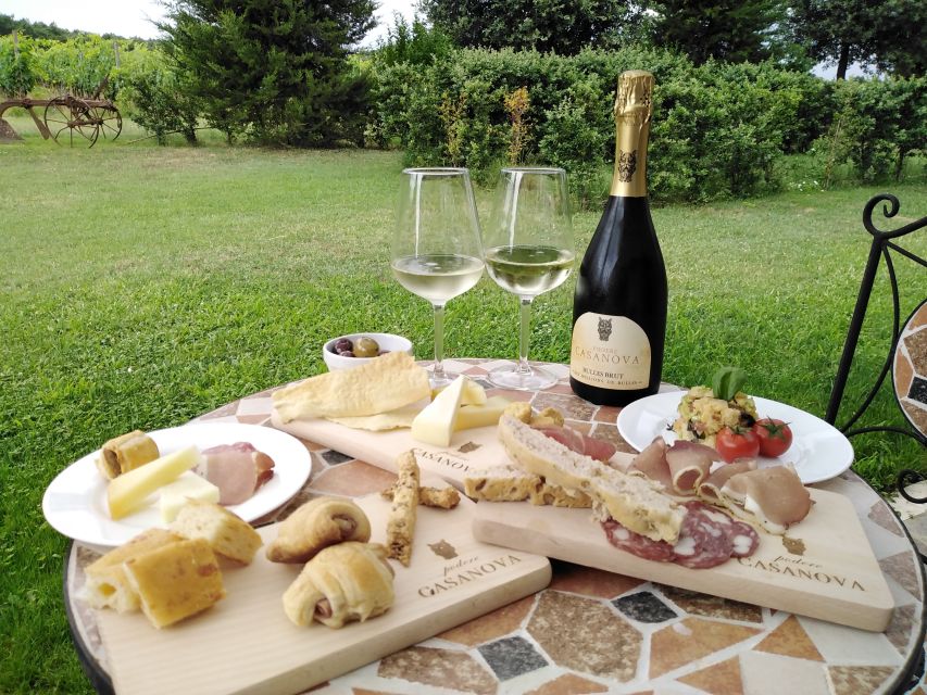 Montepulciano: Winery Tour, Tasting, and Vineyard Picnic - An hour among the vines with a generous picnic
