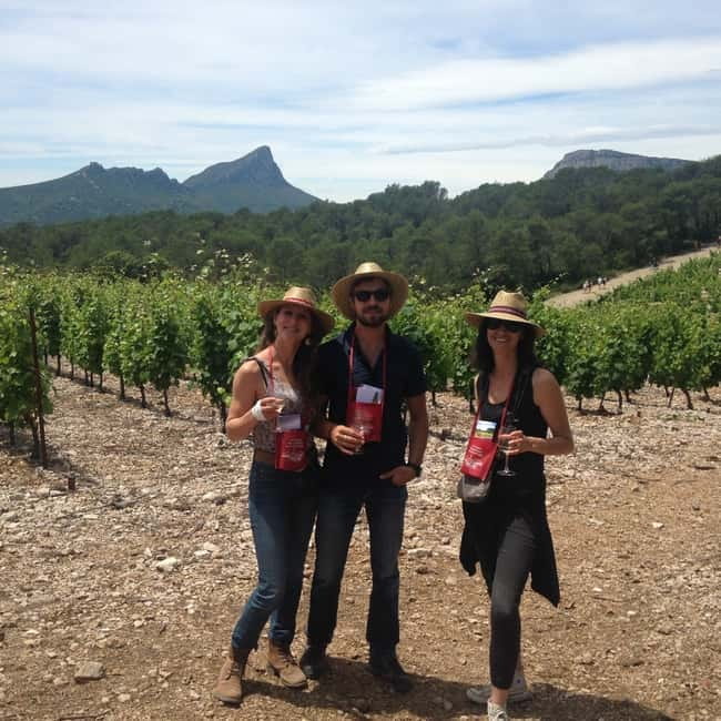 Montpellier: Pic Saint-Loup Wine Tour - The family-home meal is the personal heart of the trip
