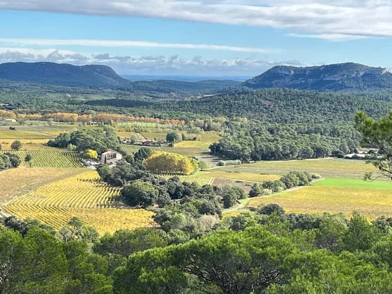 Montpellier: Pic Saint-Loup Wine Tour - Who will enjoy this most