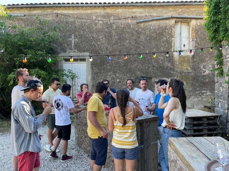 Montpellier: Pic Saint-Loup Wine Tour - Should you book the Pic Saint-Loup wine tour?