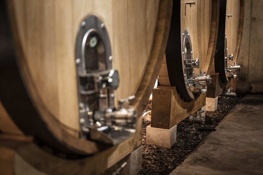 Montpellier Wine and Oyster Tour - The wine estate, castle, and working cellars