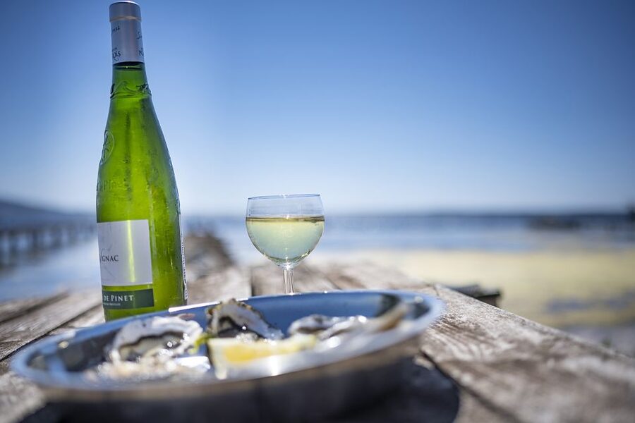 Montpellier Wine and Oyster Tour - The Thau Lagoon oyster farm