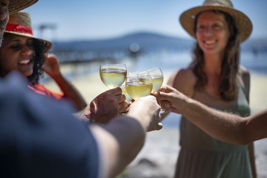 Montpellier Wine and Oyster Tour - What the guide adds to the morning