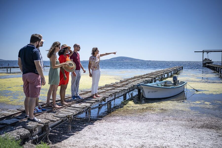 Montpellier Wine and Oyster Tour - Who should book this experience?