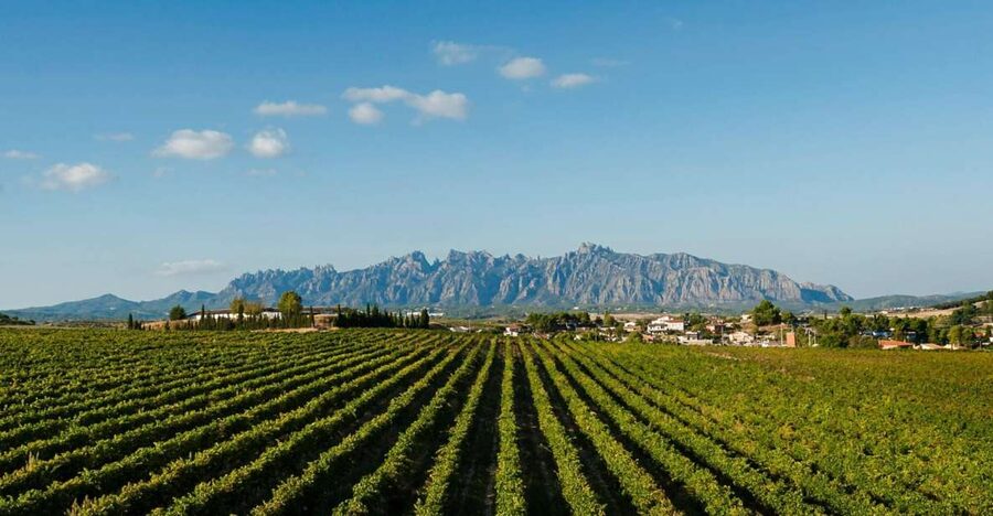 Montserrat & Cava Wineries Day Trip from Barcelona w/ Pickup - Choosing your free time on the mountain