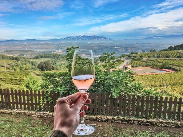 Montserrat Private Day Trip with Codorniu Cava Cellar Tasting - Codorníu’s underground galleries and two-cava tasting