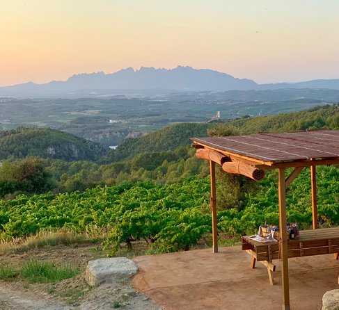 Montserrat Private Day Trip with Codorniu Cava Cellar Tasting - Who should book this private Montserrat tour?