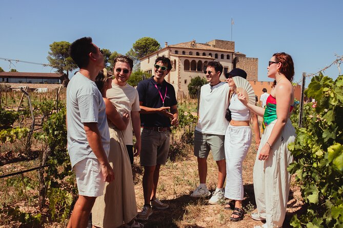 Montserrat Tour with Winery Lunch & Exclusive Cellar Experience - What the exclusive cellar visit adds