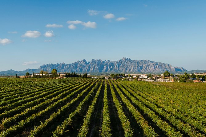 Montserrat,Vineyard, Wine Tasting Small Group Tour & Hotel Pickup - Sant Sadurní d’Anoia, cava’s hometown