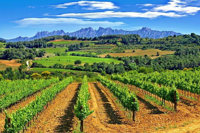 Montserrat,Vineyard, Wine Tasting Small Group Tour & Hotel Pickup - The guide can shape the whole day