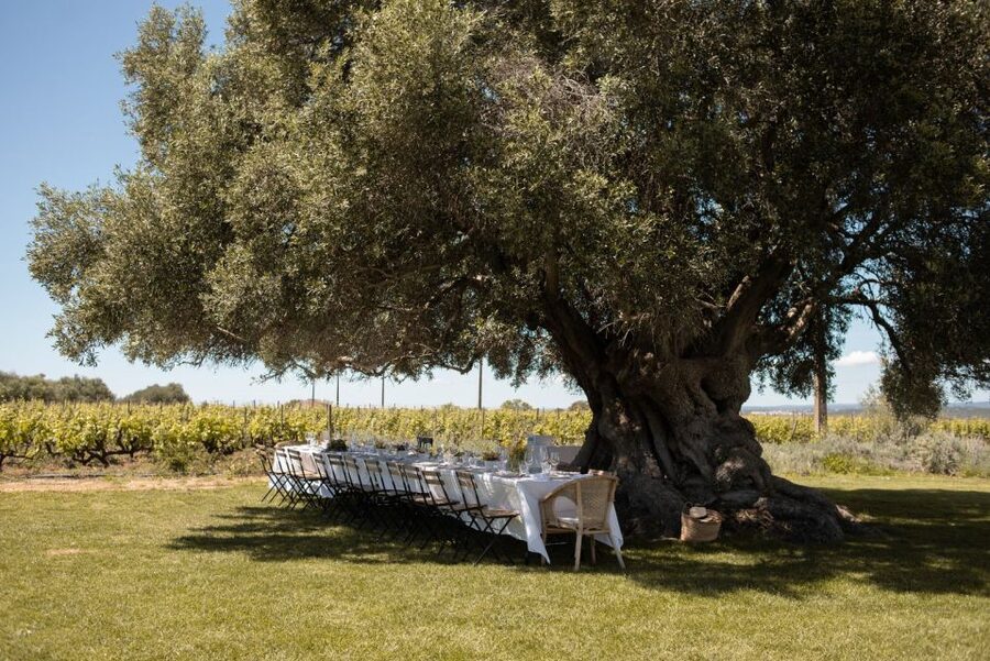 Morgado do Quintão Lunch and Wine Tasting - A lunch built around three Algarve wines