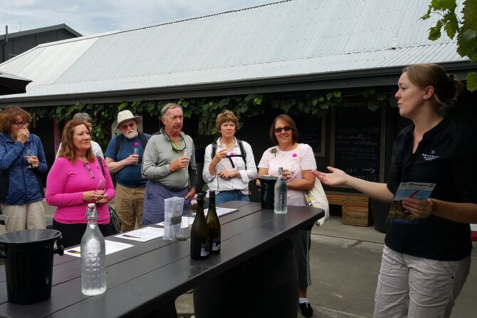 Morning Guided with Afternoon Self-Guided Biking Wine Tour - A free afternoon with a wine map