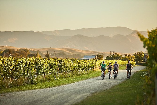 Morning Guided with Afternoon Self-Guided Biking Wine Tour - What the $117.91 price includes