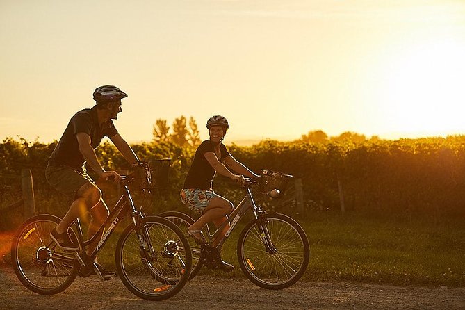 Morning Guided with Afternoon Self-Guided Biking Wine Tour - Rain plans and practical comfort