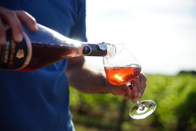 Morning - Loire Valley Wine Tour & Food Pairing, Vouvray - Key points to know before you book