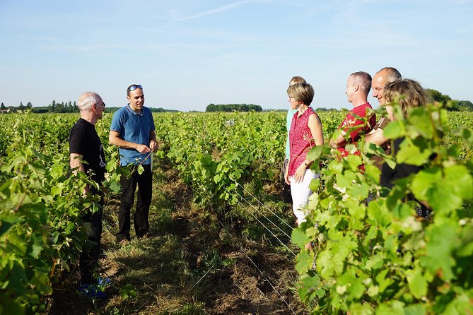 Morning - Loire Valley Wine Tour & Food Pairing, Vouvray - Starting from Tours at 9:00 a.m.