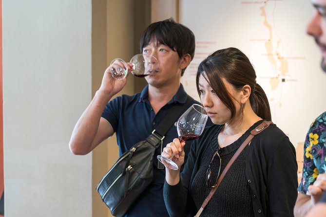 Morning Wine Tour to Chateauneuf du Pape from Avignon - Why this morning trip works well from Avignon