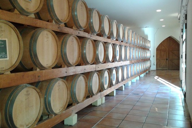 Morning Wine Tour to Chateauneuf du Pape from Avignon - Learning how to taste Rhône wine