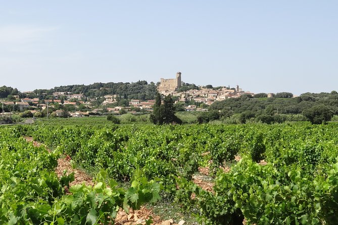 Morning Wine Tour to Chateauneuf du Pape from Avignon - The panoramic stop above Châteauneuf-du-Pape