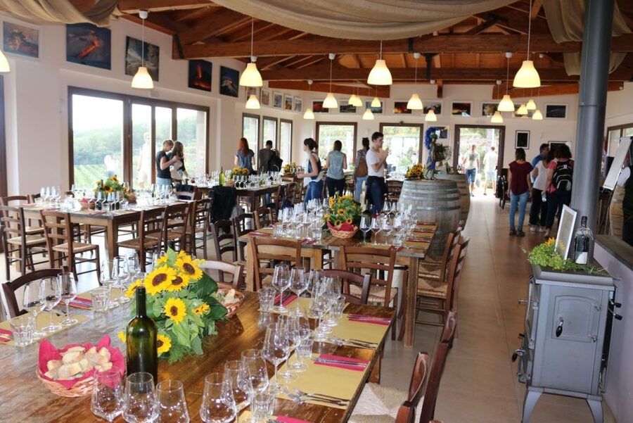 Mount Etna: Winery Tour and Tasting - Key points to know before booking